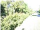 Dungog NSW 2420