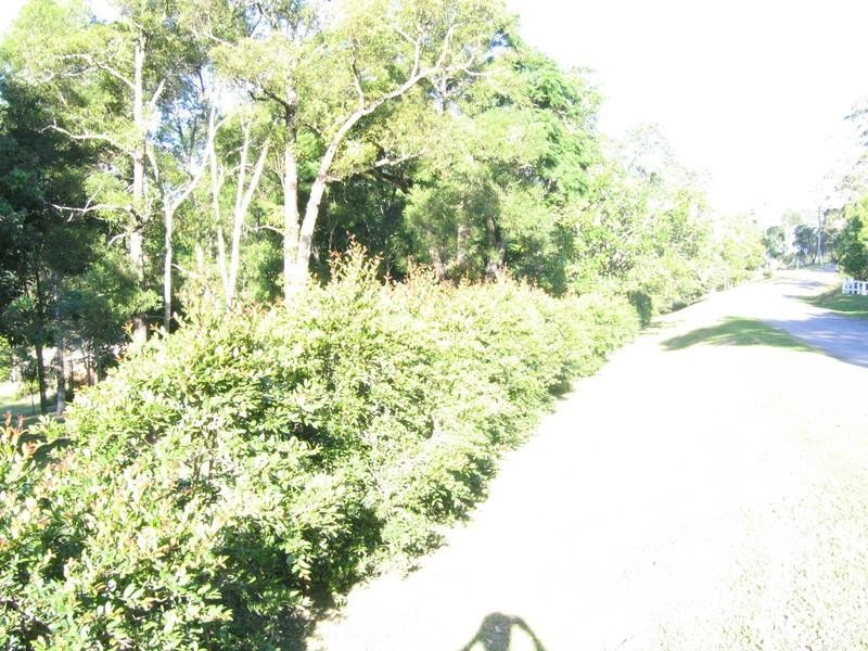 Dungog NSW 2420