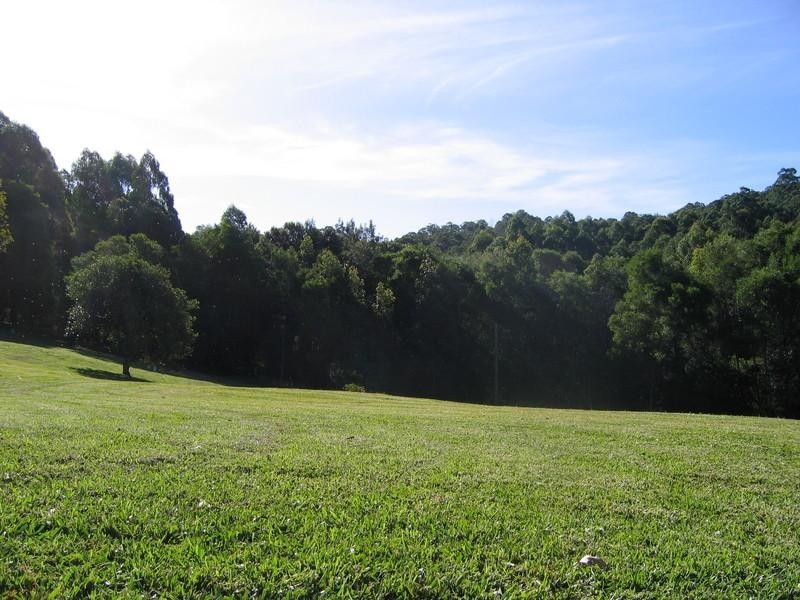 Dungog NSW 2420