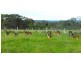 164  Shellytop Rd, Durong QLD 4610