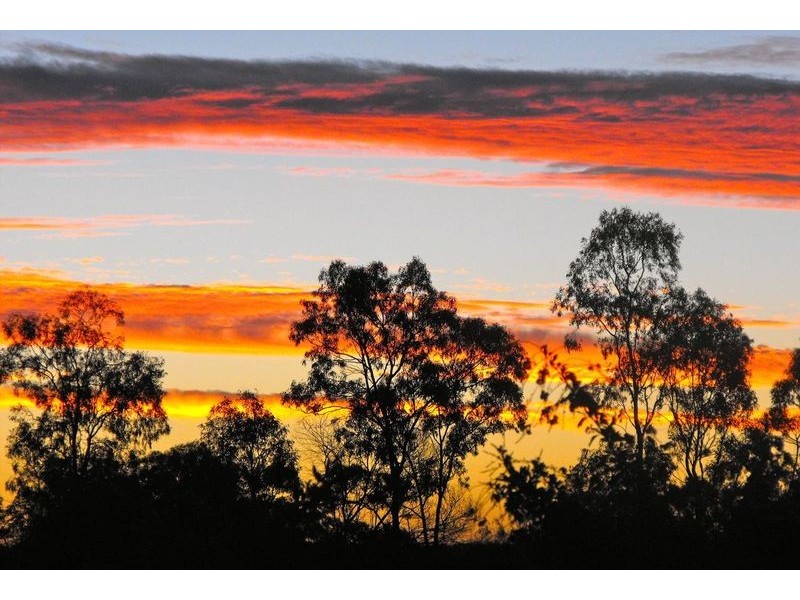 164  Shellytop Rd, Durong QLD 4610