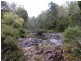 520 Harveys Road, North Motton TAS 7315