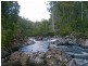 520 Harveys Road, North Motton TAS 7315