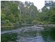 520 Harveys Road, North Motton TAS 7315