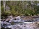 520 Harveys Road, North Motton TAS 7315