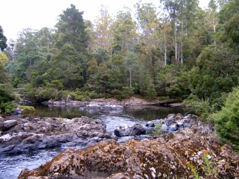 520 Harveys Road, North Motton TAS 7315