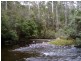 520 Harveys Road, North Motton TAS 7315