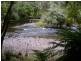 520 Harveys Road, North Motton TAS 7315