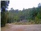 520 Harveys Road, North Motton TAS 7315