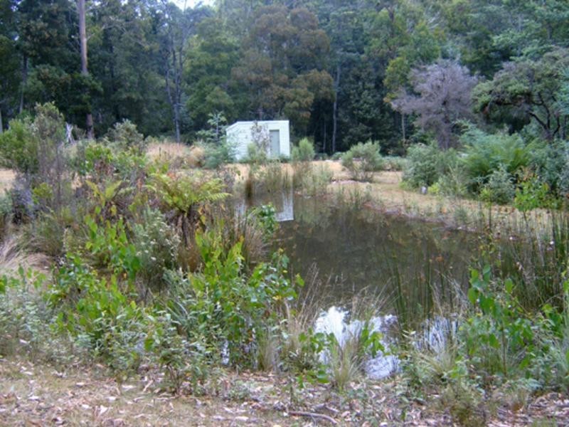 520 Harveys Road, North Motton TAS 7315