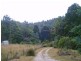 520 Harveys Road, North Motton TAS 7315