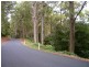 520 Harveys Road, North Motton TAS 7315