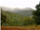 520 Harveys Road, North Motton TAS 7315