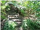 Niagara Park NSW 2250