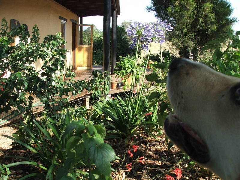 Sandy Creek VIC 3695