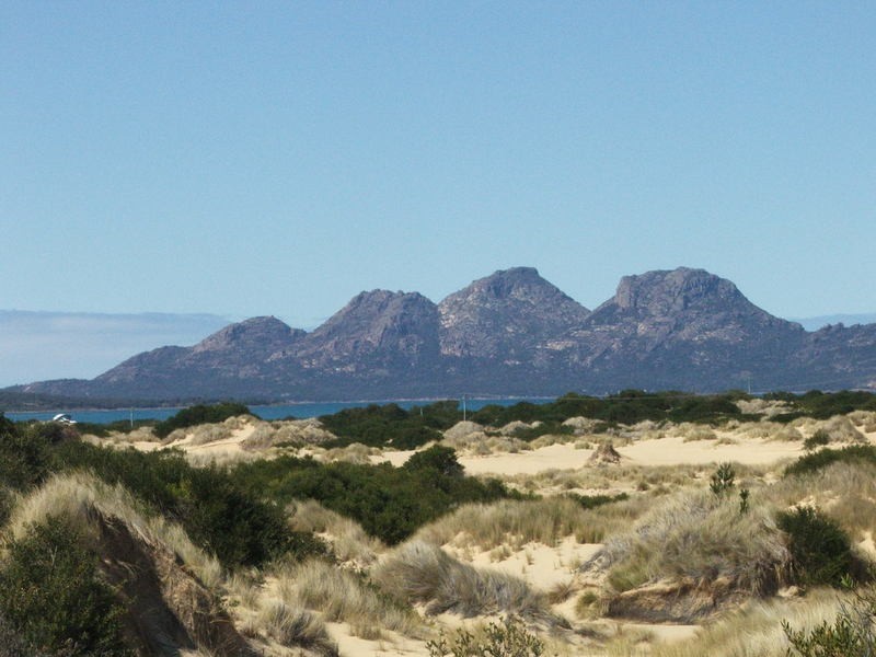 Dolphin Sands TAS 7190