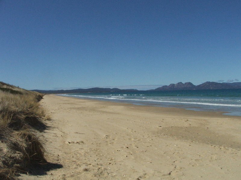 Dolphin Sands TAS 7190