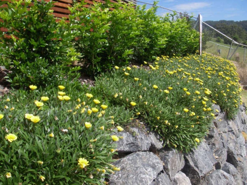 11 Wallace Circuit, Coffs Harbour NSW 2450