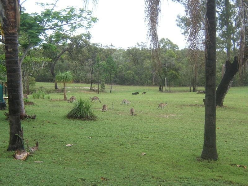 821 Pacific Drive, Baffle Creek QLD 4674