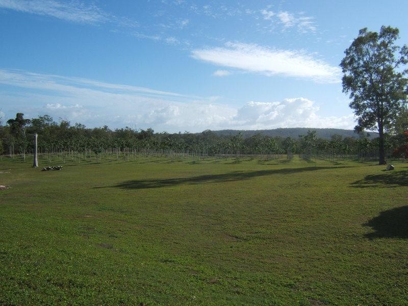 821 Pacific Drive, Baffle Creek QLD 4674