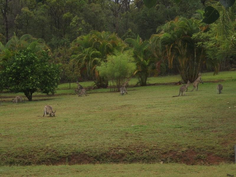 821 Pacific Drive, Baffle Creek QLD 4674