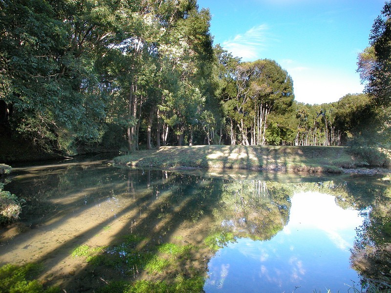 Billinudgel NSW 2483