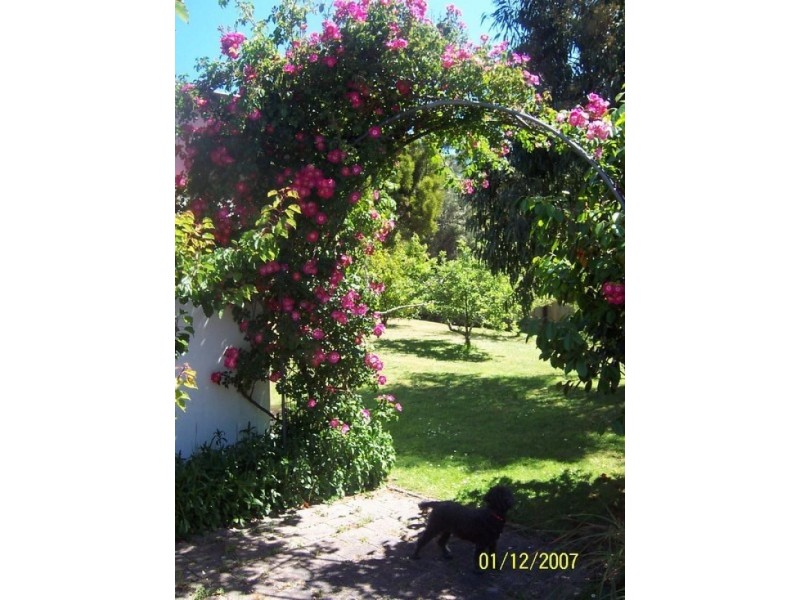 9-11 Andrew  Street, Strahan TAS 7468