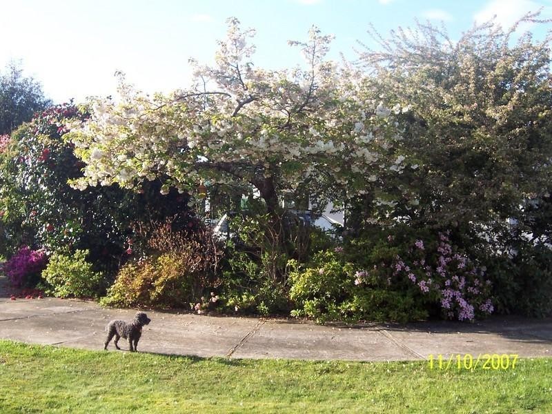 9-11 Andrew  Street, Strahan TAS 7468