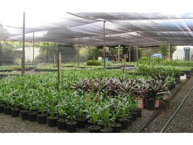 34 Greenvale  Court, Burringbar NSW 2483