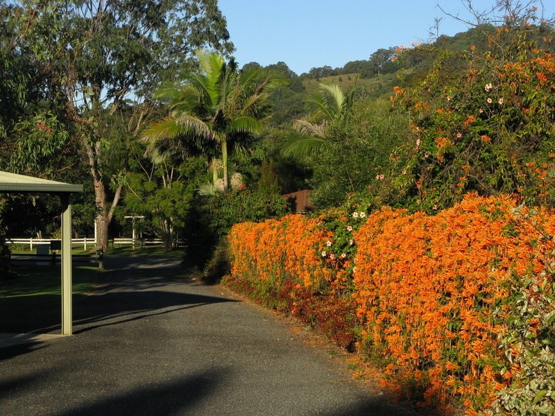 34 Greenvale  Court, Burringbar NSW 2483