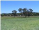 365 – 369 Timor Road or John Renshaw Parkway, Coonabarabran NSW 2357