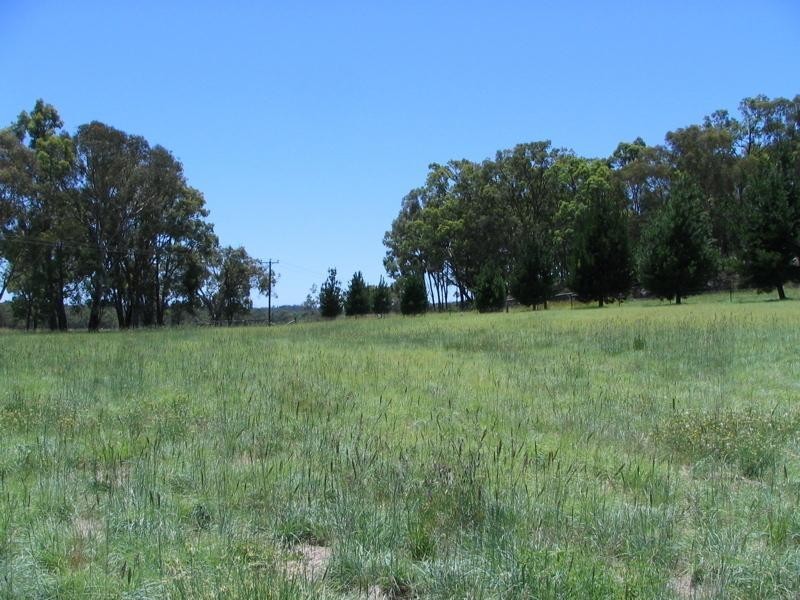 365 – 369 Timor Road or John Renshaw Parkway, Coonabarabran NSW 2357