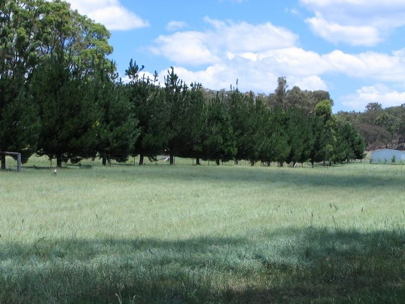 365 – 369 Timor Road or John Renshaw Parkway, Coonabarabran NSW 2357