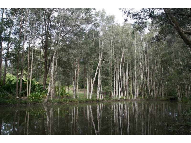 51 Robinsons Road, Eudlo QLD 4554