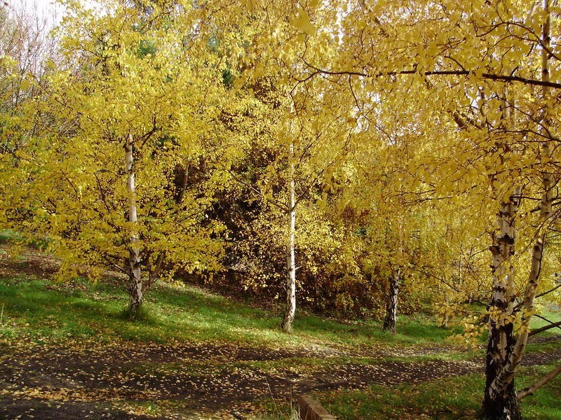 655 Glen Huon Road, Glen Huon TAS 7109