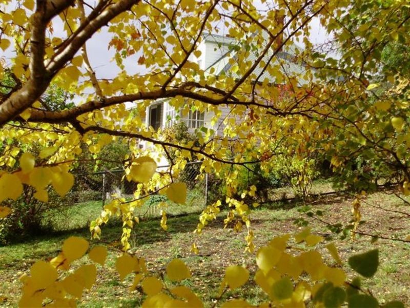 655 Glen Huon Road, Glen Huon TAS 7109