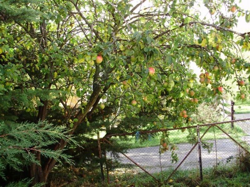 655 Glen Huon Road, Glen Huon TAS 7109