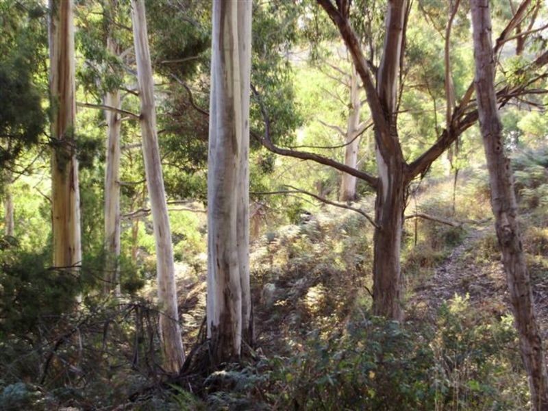 655 Glen Huon Road, Glen Huon TAS 7109