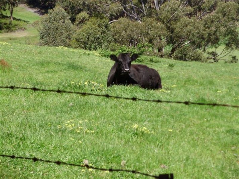 655 Glen Huon Road, Glen Huon TAS 7109