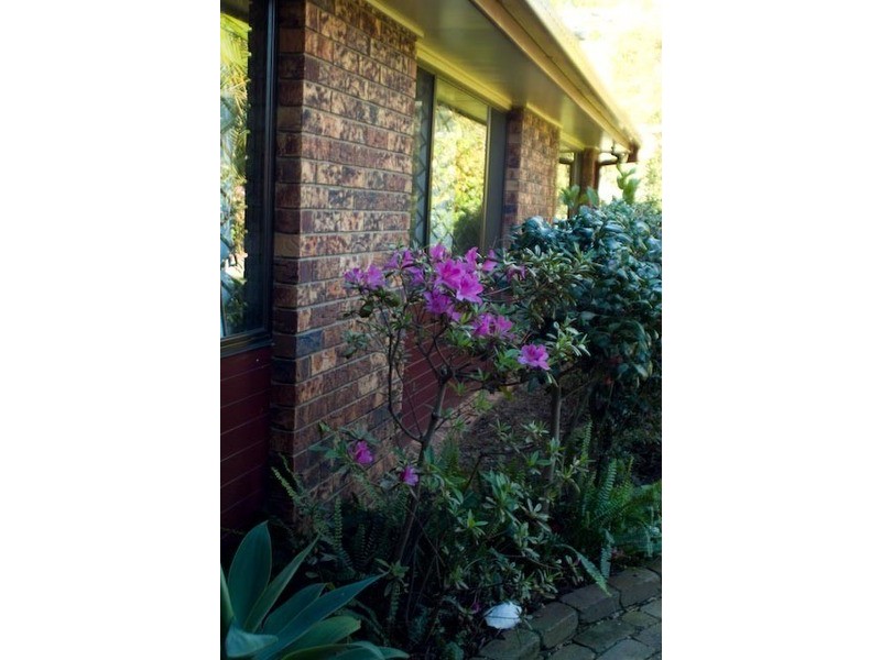 41 Bolinda  Street, Eight Mile Plains QLD 4113