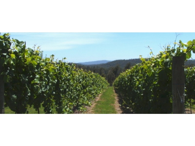 150 Hjorts Road, Exeter TAS 7275