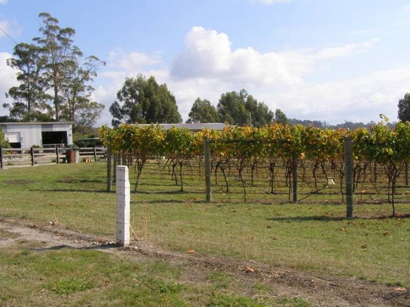 150 Hjorts Road, Exeter TAS 7275