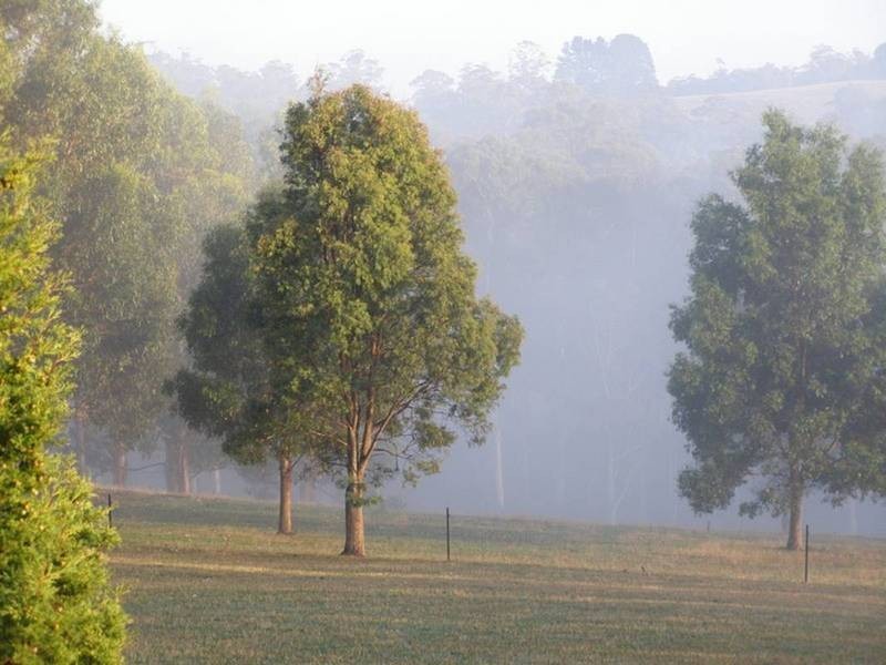 150 Hjorts Road, Exeter TAS 7275