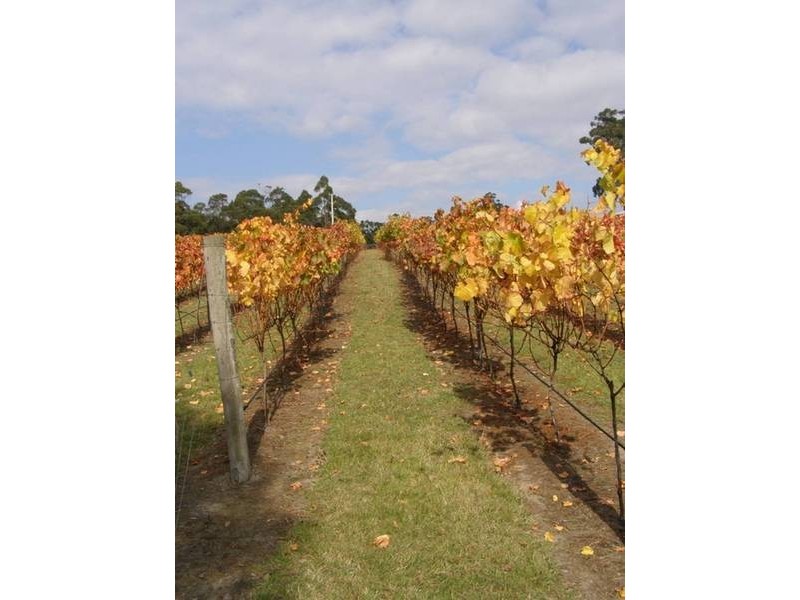 150 Hjorts Road, Exeter TAS 7275