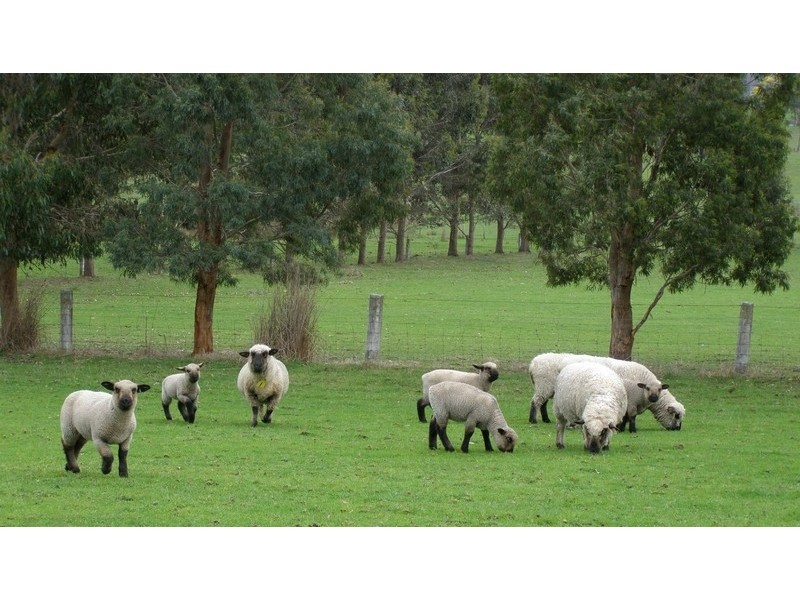 150 Hjorts Road, Exeter TAS 7275