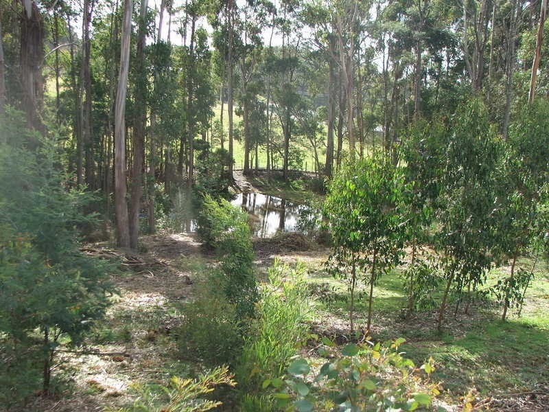 300 Sheffield Road, South Spreyton TAS 7310