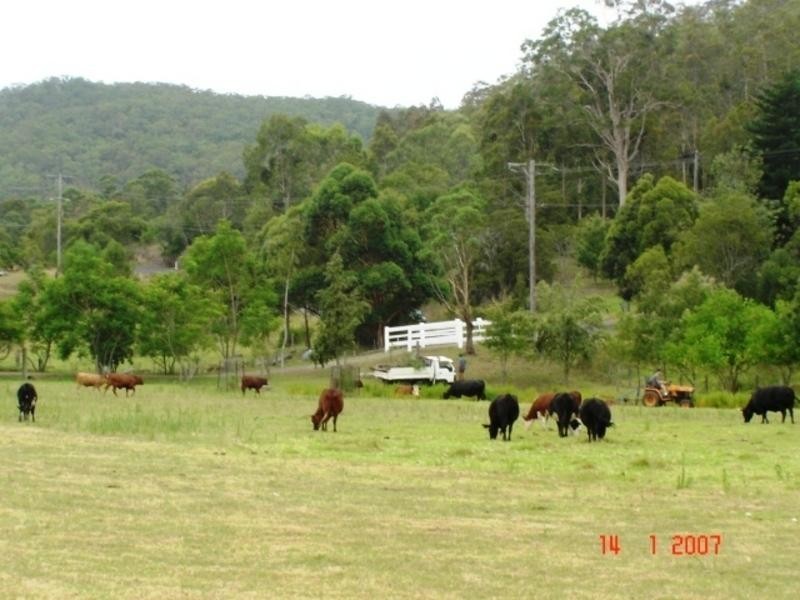 179 Martins Creek Road, Paterson NSW 2421