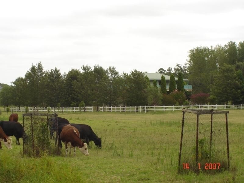 179 Martins Creek Road, Paterson NSW 2421