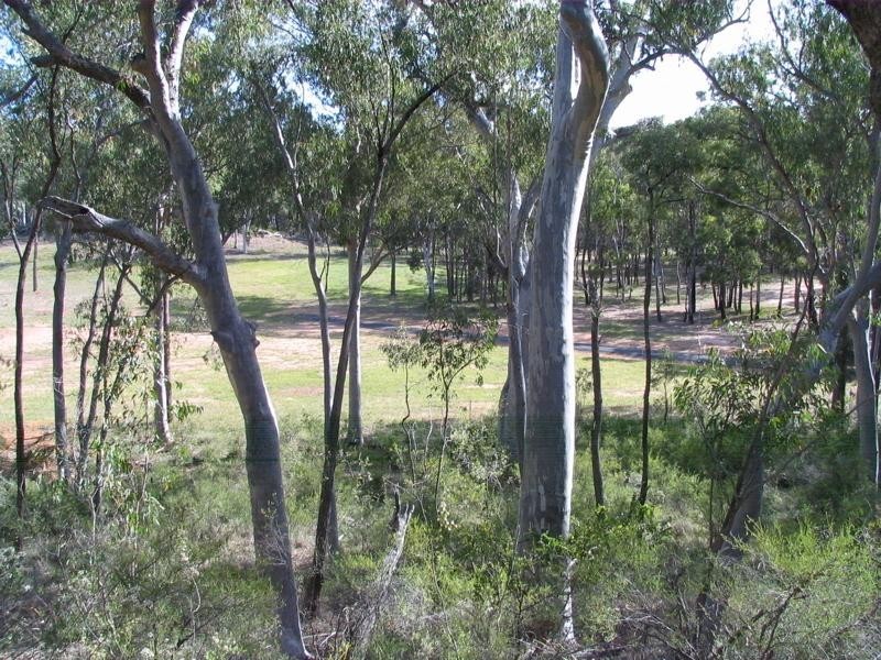 403 Timor Road, Coonabarabran NSW 2357