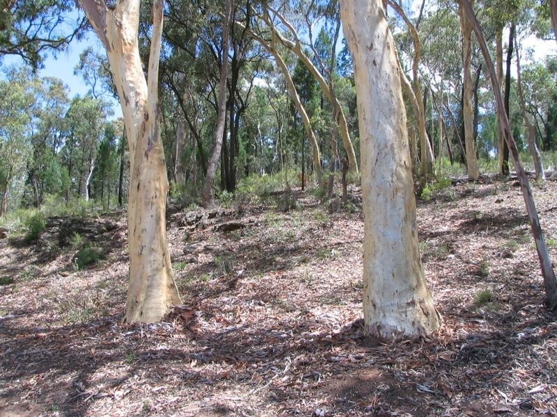 403 Timor Road, Coonabarabran NSW 2357